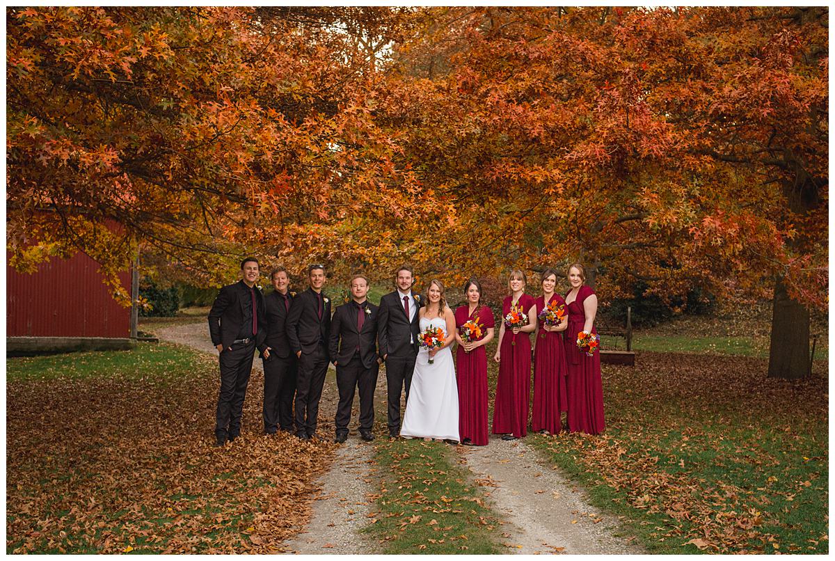 Bride and groom with groomsmen and bridesmaids at Queenstown autumn wedding