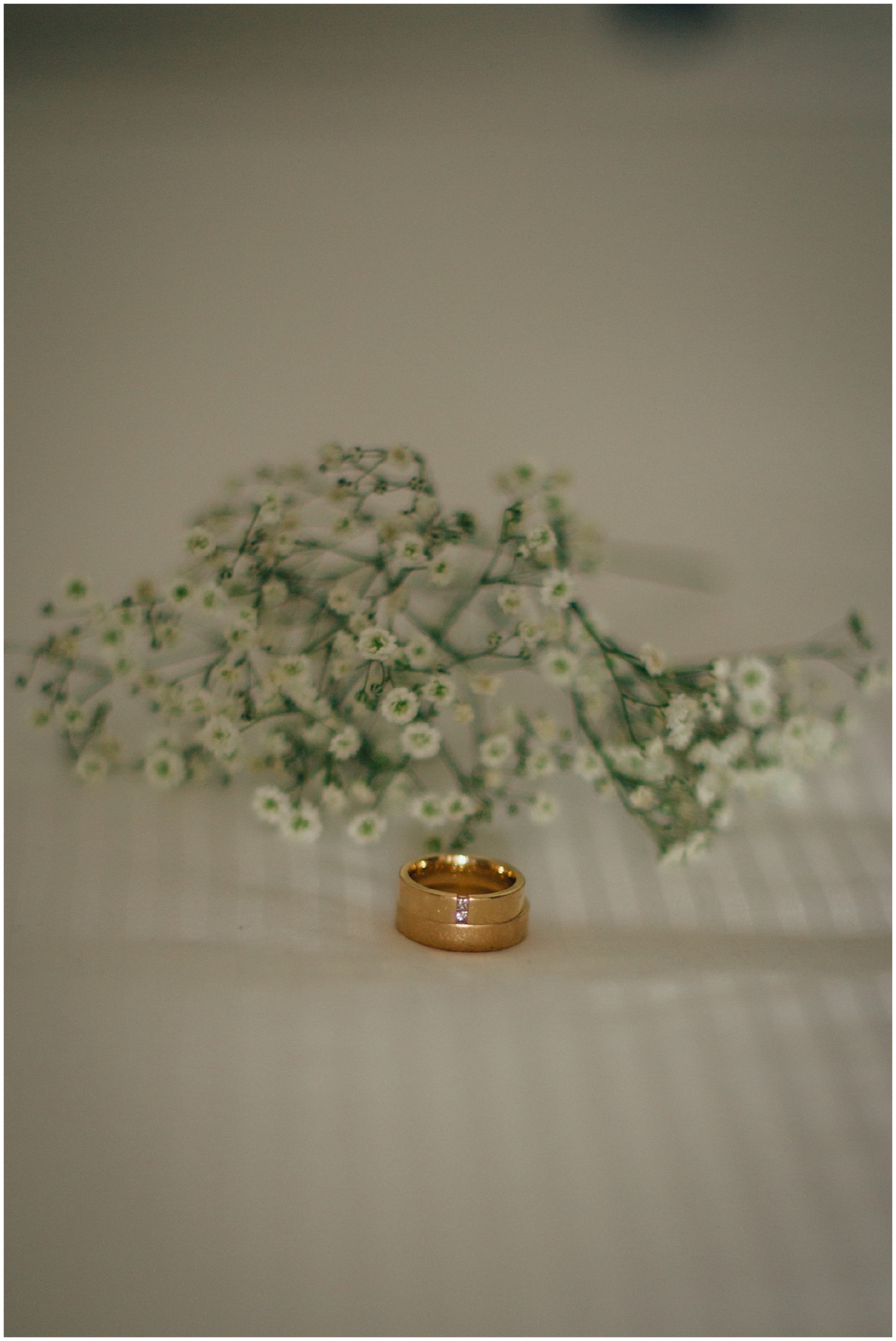 Wedding rings surrounded by wild flowers