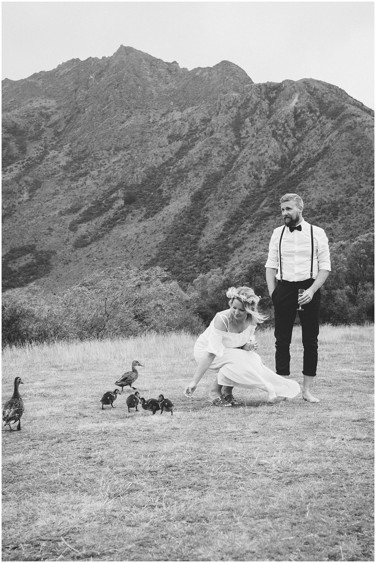 Bride and groom feed ducks and ducklings